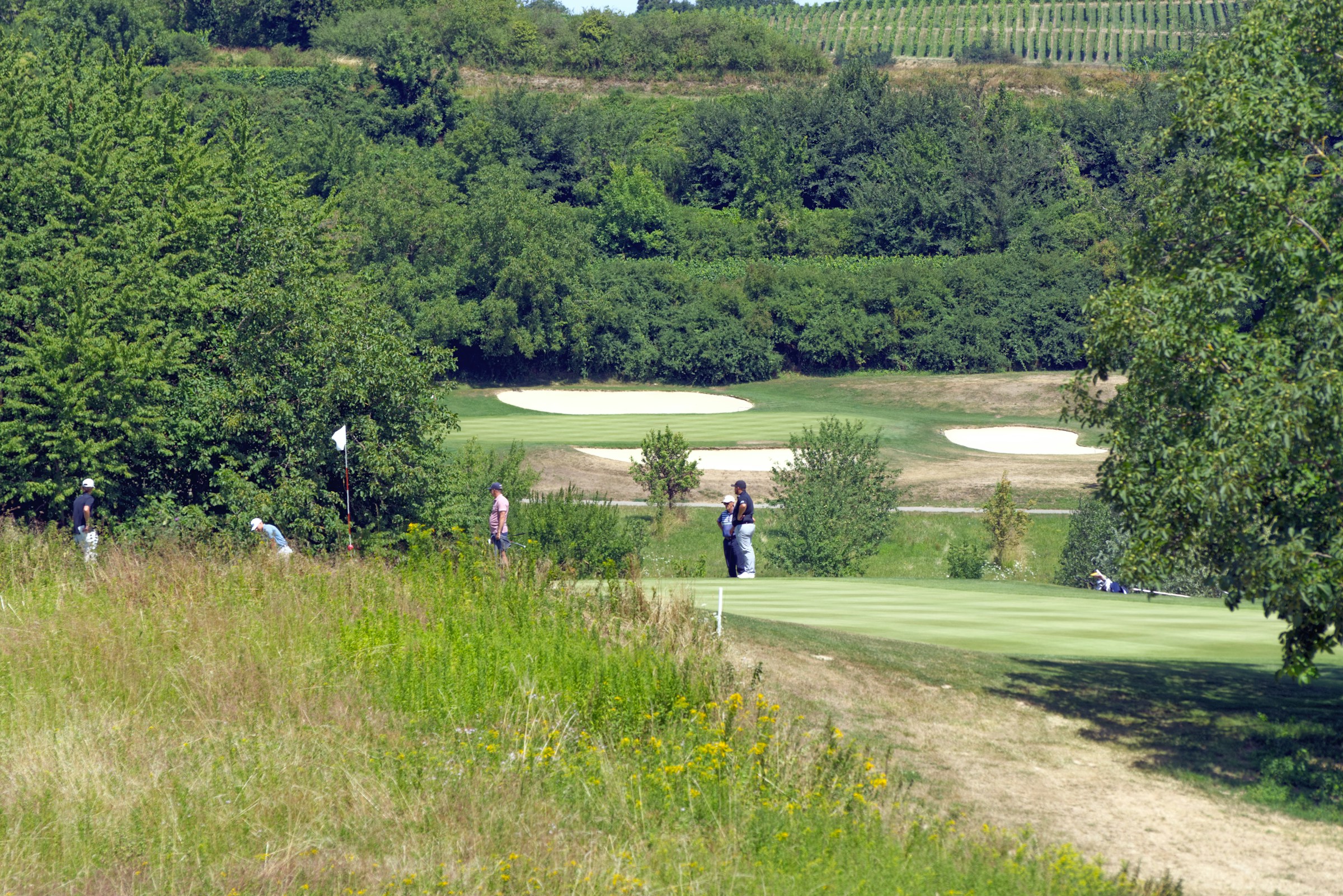 Golfers on a manicured green at a parkland golf course